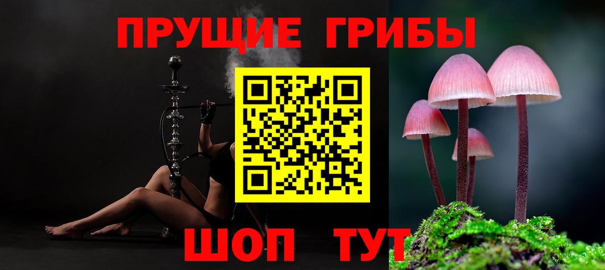 Псилоцибиновые грибы Psilocybine cubensis Шатура